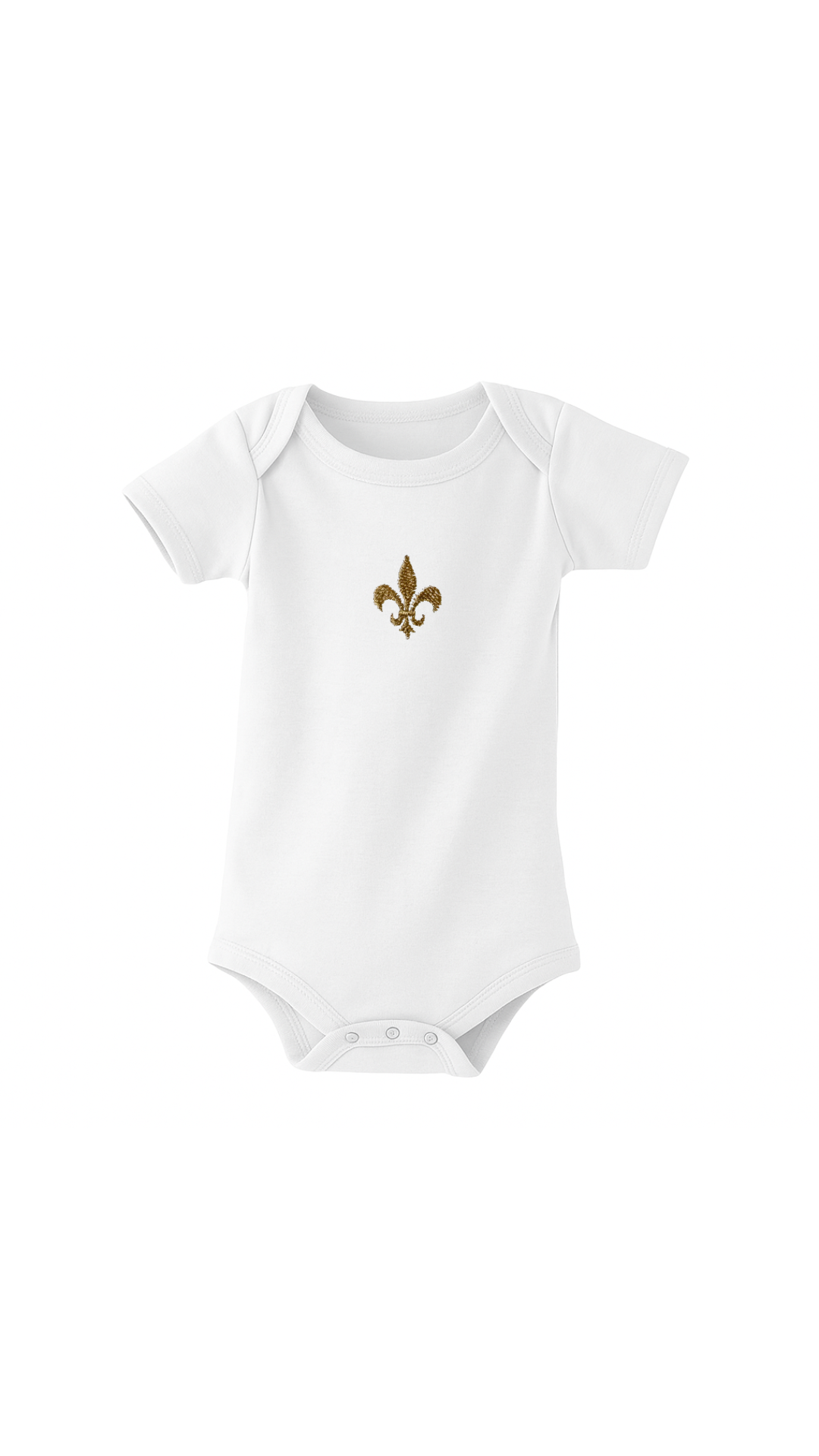 Body Saint Louis